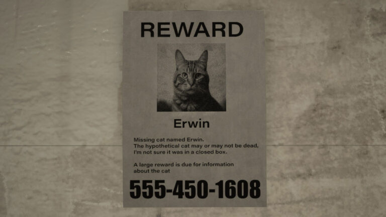 Missing Cat Spotted in Alleyway | Mysteries | The Gateway Report